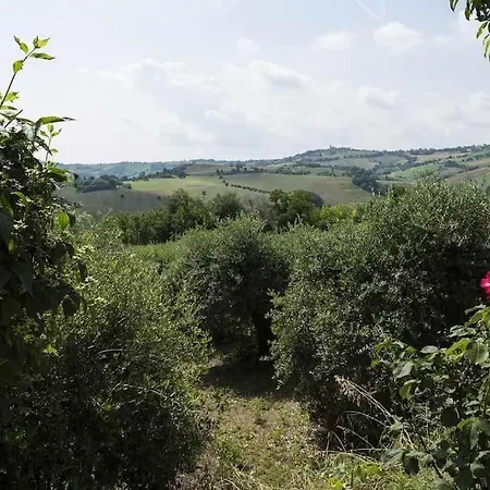 La Casa De Fascia' Contrada Pescara Valle Nyaraló Monte San Pietrangeli